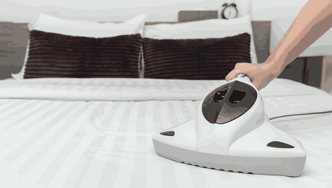 Professional Mattress Cleaning Moolap